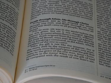 How Grammarly Citation Agent Automates APA and MLA Formatting