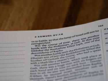 Semantic Scholar AI Finds Influential Research Papers in Seconds