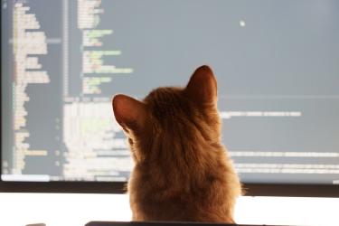 Setting Up AI Coding Assistants for Computer Science Classes