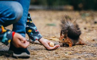 Squirrel AI vs Traditional Tutoring: Personalized Learning Paths
